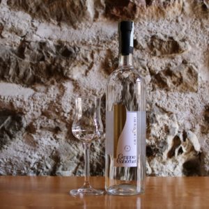 grappa cabernet